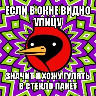 если в окне видно улицу значит я хожу гулять в стекло пакет, Мем Омская птица