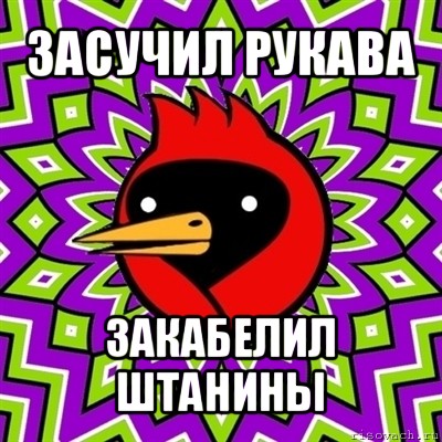 засучил рукава закабелил штанины, Мем Омская птица