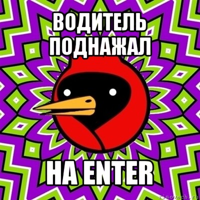 водитель поднажал на enter, Мем Омская птица