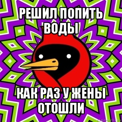 решил попить воды как раз у жены отошли, Мем Омская птица