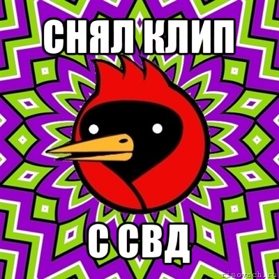 снял клип с свд, Мем Омская птица