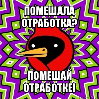 помешала отработка? помешай отработке!, Мем Омская птица