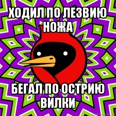 ходил по лезвию ножа бегал по острию вилки, Мем Омская птица