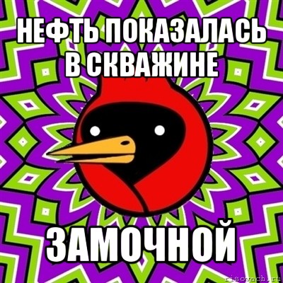 нефть показалась в скважине замочной, Мем Омская птица