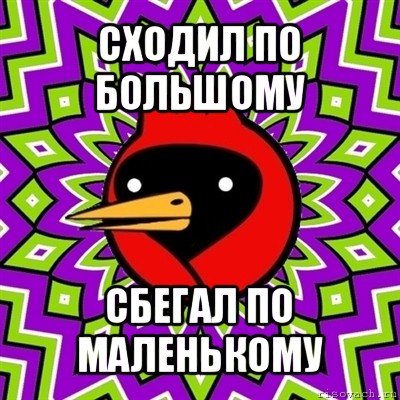 сходил по большому сбегал по маленькому, Мем Омская птица