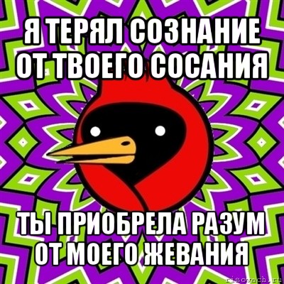 я терял сознание от твоего сосания ты приобрела разум от моего жевания, Мем Омская птица