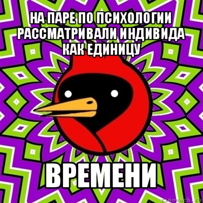 на паре по психологии рассматривали индивида как единицу времени, Мем Омская птица