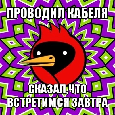 проводил кабеля сказал,что встретимся завтра, Мем Омская птица