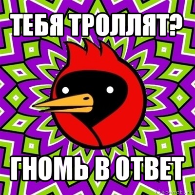 тебя троллят? гномь в ответ, Мем Омская птица