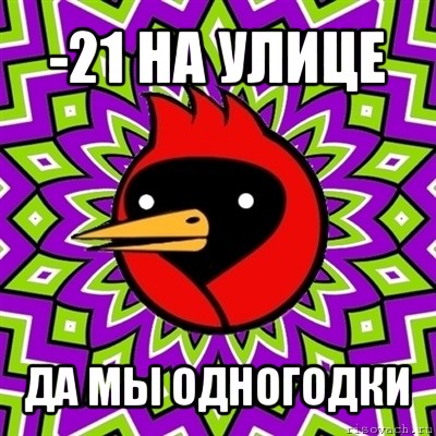 -21 на улице да мы одногодки, Мем Омская птица