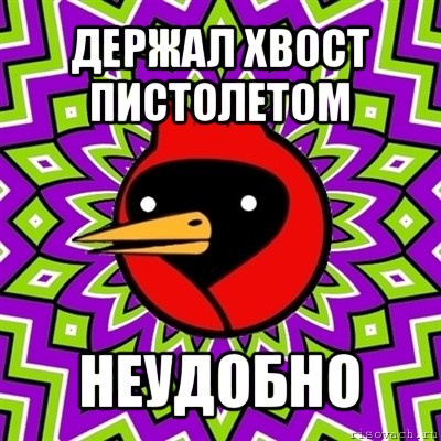 держал хвост пистолетом неудобно, Мем Омская птица