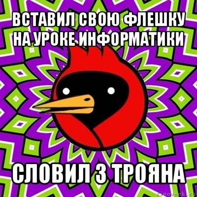 вставил свою флешку на уроке информатики словил 3 трояна, Мем Омская птица