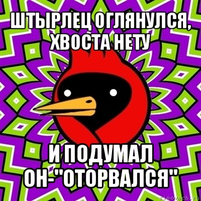 штырлец оглянулся, хвоста нету и подумал он-"оторвался", Мем Омская птица