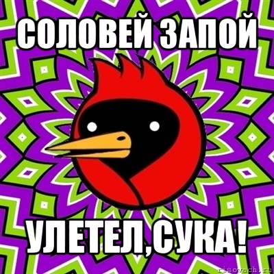 соловей запой улетел,сука!, Мем Омская птица