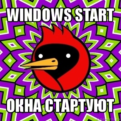 windows start окна стартуют, Мем Омская птица