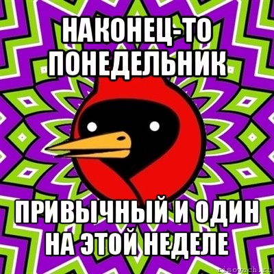 наконец-то понедельник привычный и один на этой неделе, Мем Омская птица