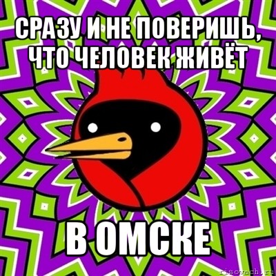 сразу и не поверишь, что человек живёт в омске, Мем Омская птица