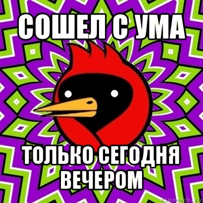 сошел с ума только сегодня вечером, Мем Омская птица