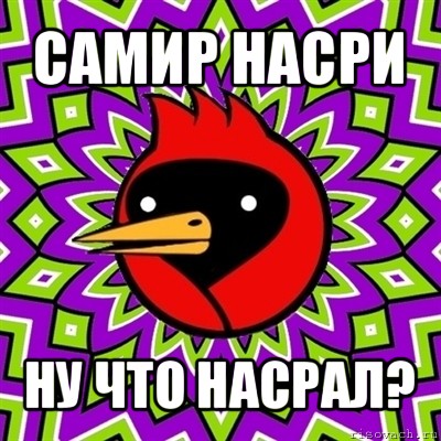 самир насри ну что насрал?, Мем Омская птица