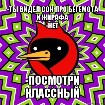 -ты видел сон про бегемота и жирафа
-нет -посмотри классный, Мем Омская птица