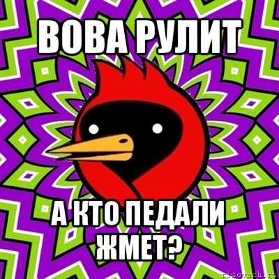 вова рулит а кто педали жмет?, Мем Омская птица