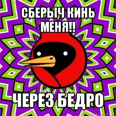 сберыч кинь меня!! через бедро, Мем Омская птица