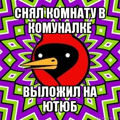 снял комнату в комуналке выложил на ютюб, Мем Омская птица