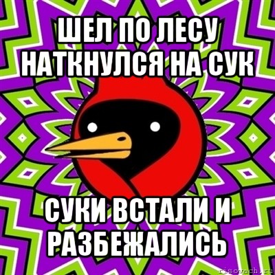 шел по лесу наткнулся на сук суки встали и разбежались, Мем Омская птица