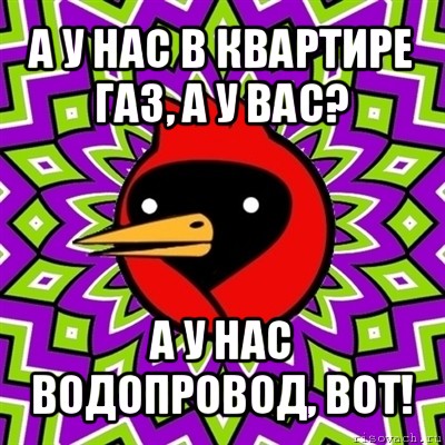 а у нас в квартире газ, а у вас? а у нас водопровод, вот!, Мем Омская птица