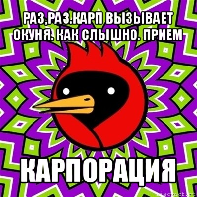 раз,раз.карп вызывает окуня. как слышно. прием карпорация, Мем Омская птица