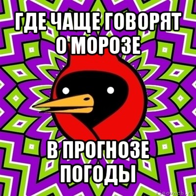 где чаще говорят о морозе в прогнозе погоды, Мем Омская птица