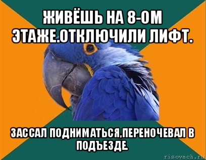 живёшь на 8-ом этаже.отключили лифт. зассал подниматься,переночевал в подъезде.