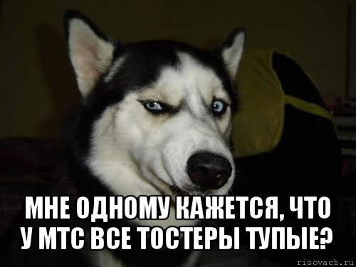  Мне одному кажется, что у МТС все тостеры тупые?, Комикс  Собака подозревака