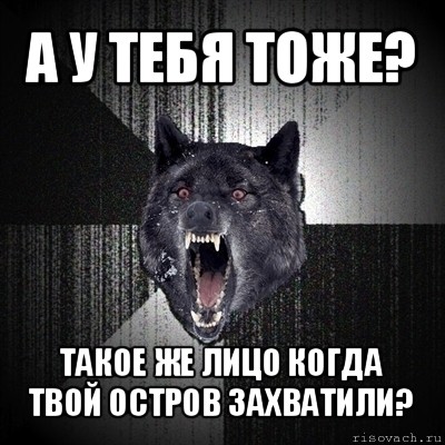 а у тебя тоже? такое же лицо когда твой остров захватили?, Мем Сумасшедший волк