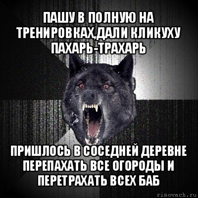 пашу в полную на тренировках,дали кликуху пахарь-трахарь пришлось в соседней деревне перепахать все огороды и перетрахать всех баб, Мем Сумасшедший волк