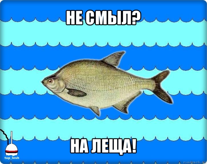 не смыл? на леща!, Мем Тупичный лещ