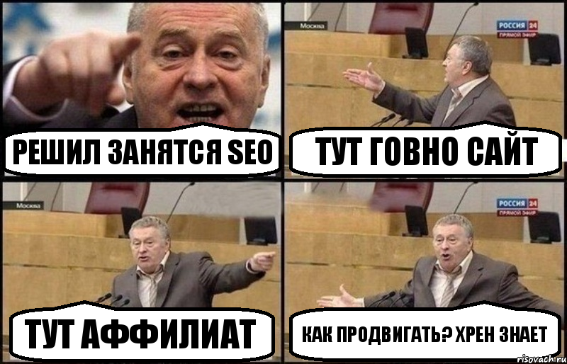 Решил занятся SEO Тут говно сайт Тут аффилиат Как продвигать? хрен знает, Комикс Жириновский