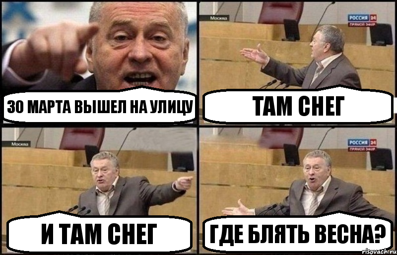 30 марта вышел на улицу там снег и там снег где блять весна?, Комикс Жириновский