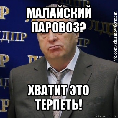 малайский паровоз? хватит это терпеть!, Мем Хватит это терпеть (Жириновский)