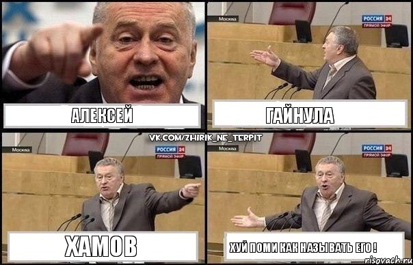 Алексей Гайнула Хамов хуй поми как называть его !, Комикс Жириновский