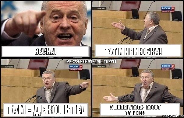 ВЕСНА! Тут миниюбка! Там - декольте! А жопы у всех - вооот такииее!, Комикс Жириновский