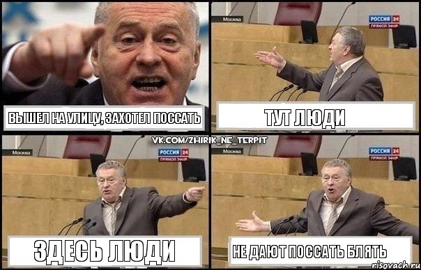 Вышел на улицу, захотел поссать Тут люди Здесь люди Не дают поссать блять, Комикс Жириновский