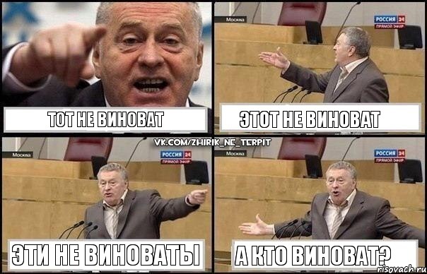 тот не виноват этот не виноват эти не виноваты а кто виноват?, Комикс Жириновский