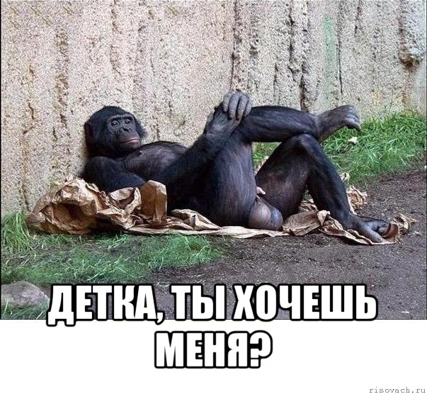  детка, ты хочешь меня?, Мем а танцую я не очень