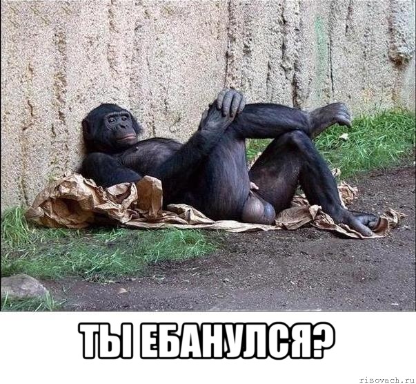  ты ебанулся?, Мем а танцую я не очень