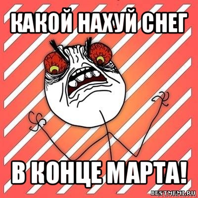 какой нахуй снег в конце марта!, Мем  Злость