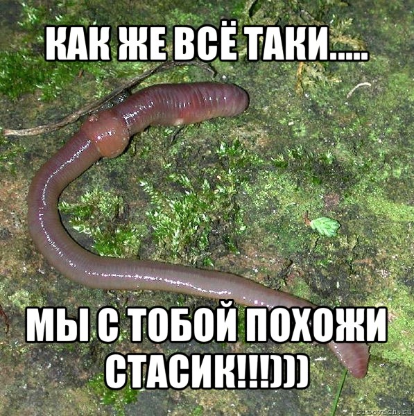 как же всё таки..... мы с тобой похожи стасик!!!)))