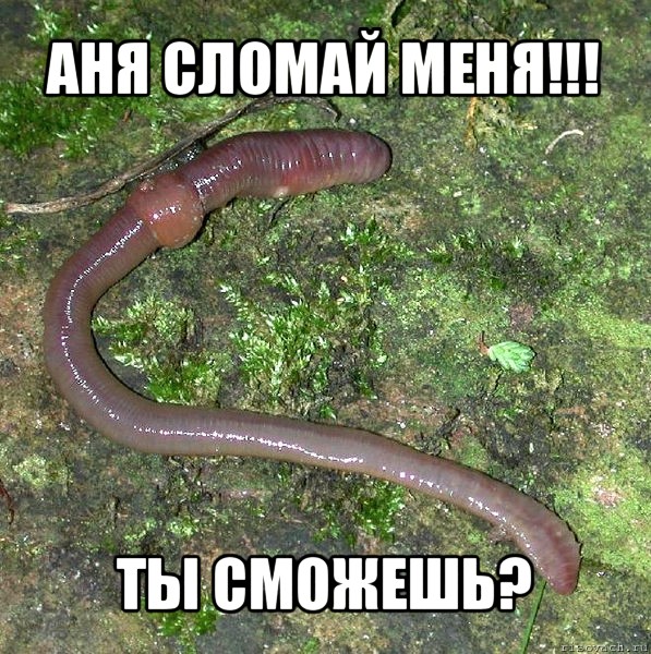 аня сломай меня!!! ты сможешь?, Мем черв