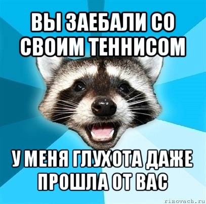 вы заебали со своим теннисом у меня глухота даже прошла от вас, Мем Енот-Каламбурист