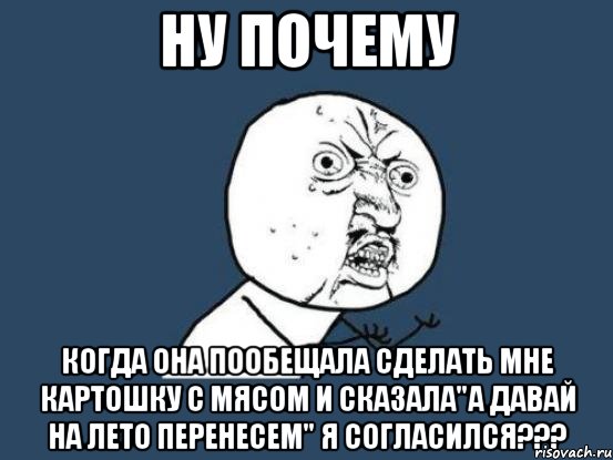 ну почему когда она пообещала сделать мне картошку с мясом и сказала"а давай на лето перенесем" я согласился???, Мем Ну почему